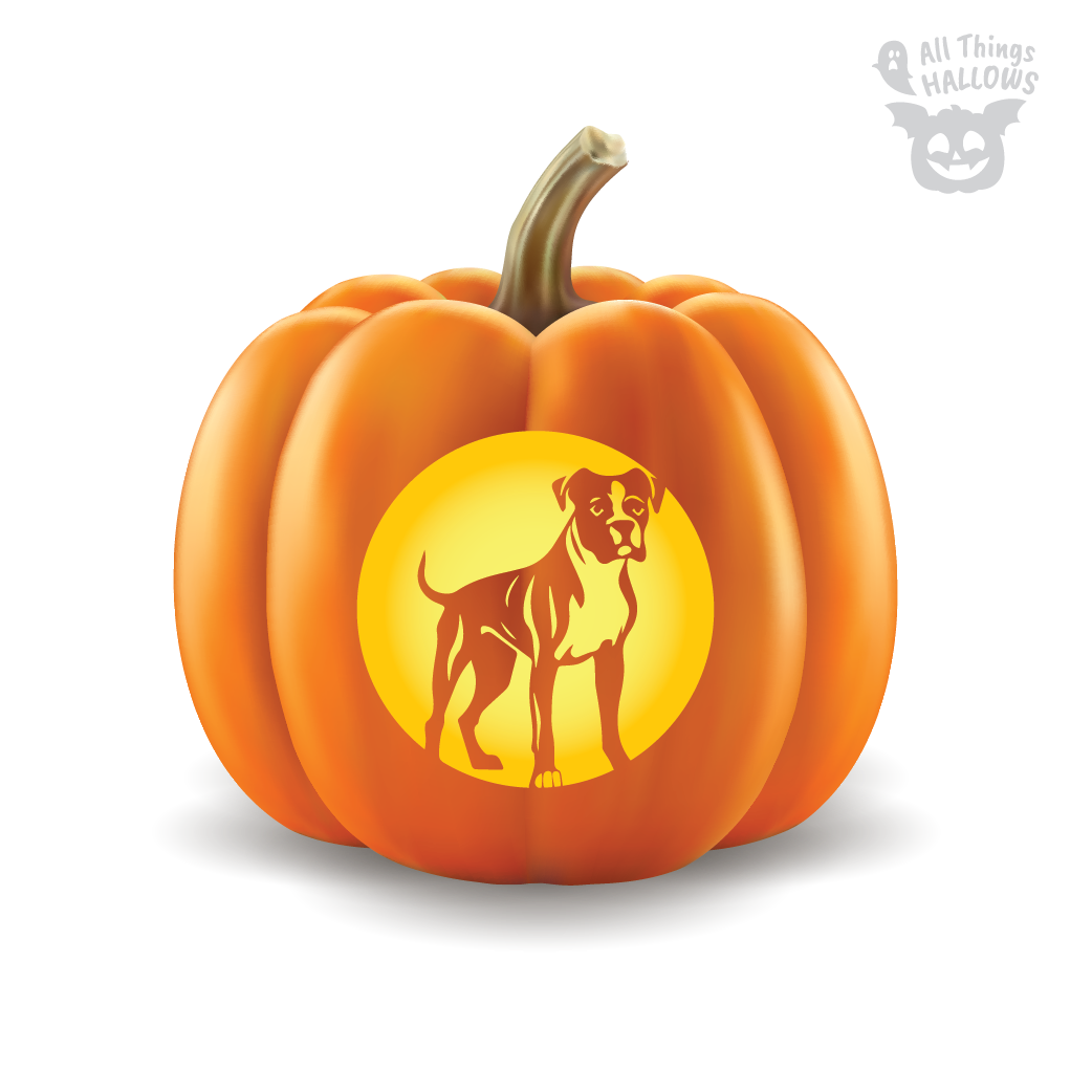 Boxer Pumpkin Stencil