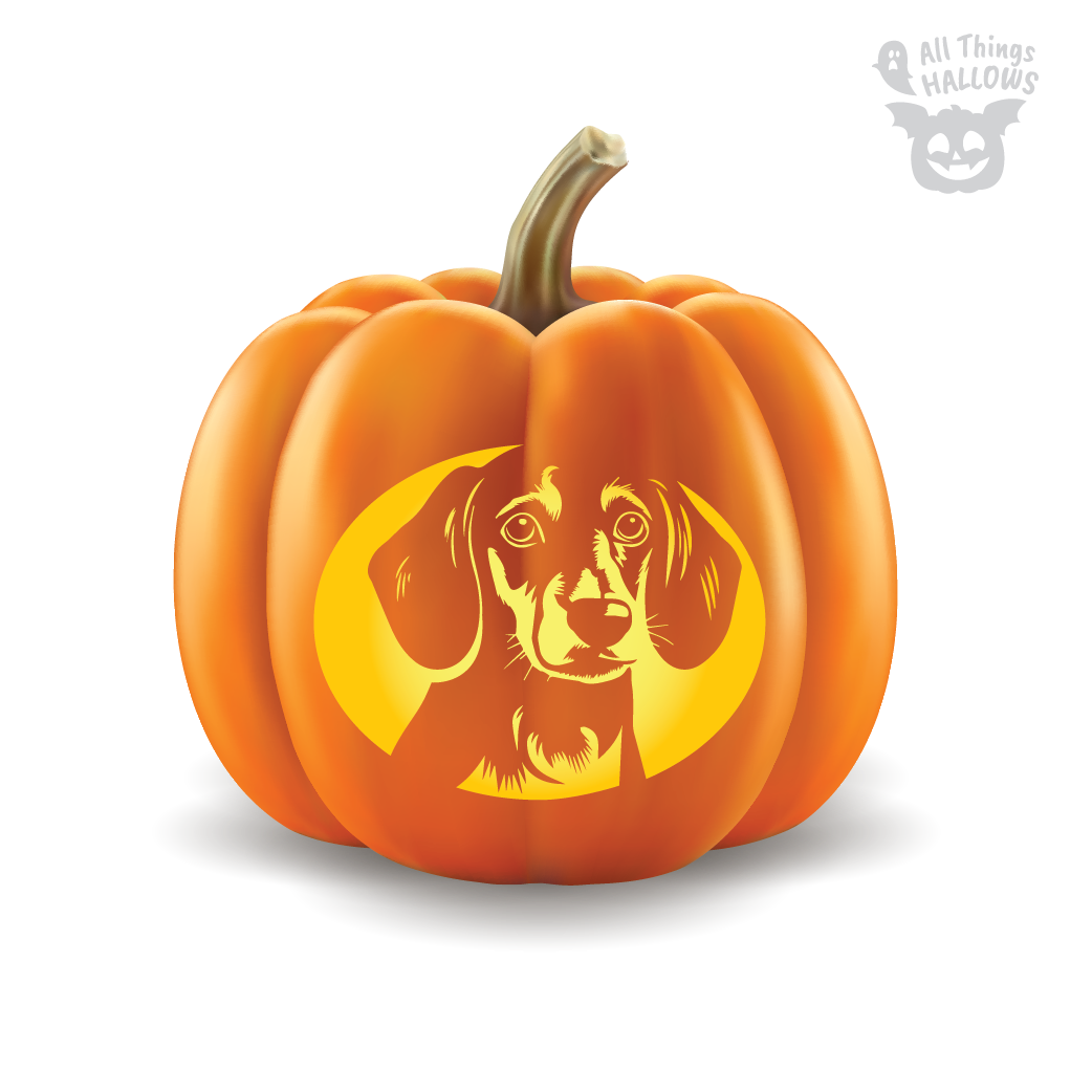 Dachshund Pumpkin Stencil