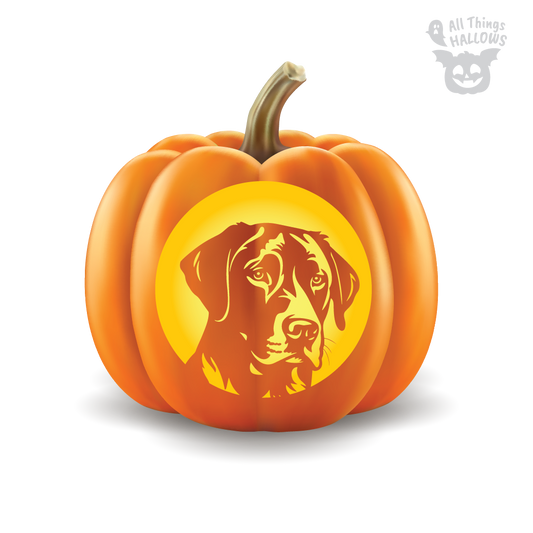 Labrador Pumpkin Stencil