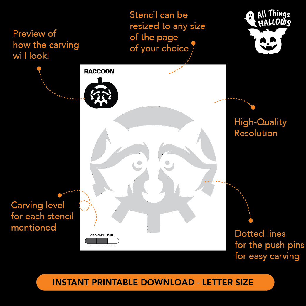 Raccoon Pumpkin Stencil